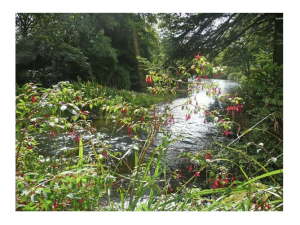 87aad-sunnycovewater2_ledited